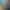 https://shared.akamai.steamstatic.com/store_item_assets/steam/apps/1009290/header.jpg?t=1750782350