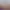 https://shared.akamai.steamstatic.com/store_item_assets/steam/apps/1073910/header.jpg?t=1749138596
