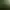 Ultimate Fishing Simulator - Amazon River DLC.