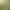https://shared.akamai.steamstatic.com/store_item_assets/steam/apps/1127970/header.jpg?t=1727715706