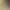 https://shared.akamai.steamstatic.com/store_item_assets/steam/apps/1141760/header.jpg?t=1741666096