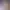 https://shared.akamai.steamstatic.com/store_item_assets/steam/apps/1142330/header.jpg?t=1598974058