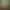 Gods of Love: An Otome Visual Novel.
