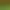 ToGather:Island.