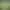 https://shared.akamai.steamstatic.com/store_item_assets/steam/apps/1223750/3d512fa900fff6187dcc30a2bf63d2f1121cee84/header_alt_assets_15.jpg?t=1750934247