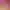 https://shared.akamai.steamstatic.com/store_item_assets/steam/apps/1282760/header.jpg?t=1649103375