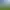 https://shared.akamai.steamstatic.com/store_item_assets/steam/apps/1307550/707258acebeef691619672fdfa1e2ea914d3c827/header_alt_assets_10.jpg?t=1750302934
