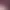https://shared.akamai.steamstatic.com/store_item_assets/steam/apps/1328350/header.jpg?t=1746564762