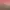 https://shared.akamai.steamstatic.com/store_item_assets/steam/apps/1342040/header.jpg?t=1749385658