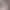 https://shared.akamai.steamstatic.com/store_item_assets/steam/apps/1351630/header.jpg?t=1732665686