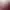 https://shared.akamai.steamstatic.com/store_item_assets/steam/apps/1358700/header.jpg?t=1690435954