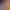 https://shared.akamai.steamstatic.com/store_item_assets/steam/apps/1431220/header.jpg?t=1602851366