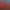 https://shared.akamai.steamstatic.com/store_item_assets/steam/apps/1442380/header.jpg?t=1607025124