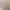 https://shared.akamai.steamstatic.com/store_item_assets/steam/apps/1448640/header.jpg?t=1693964440