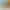 https://shared.akamai.steamstatic.com/store_item_assets/steam/apps/1465190/header.jpg?t=1710168519