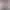 https://shared.akamai.steamstatic.com/store_item_assets/steam/apps/1498190/header.jpg?t=1730906427