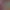 https://shared.akamai.steamstatic.com/store_item_assets/steam/apps/1511880/header.jpg?t=1745424639