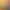 https://shared.akamai.steamstatic.com/store_item_assets/steam/apps/1571000/header.jpg?t=1725607863