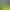 Fruit Ninja VR 2.