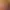 https://shared.akamai.steamstatic.com/store_item_assets/steam/apps/1658960/header.jpg?t=1745479251