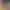 https://shared.akamai.steamstatic.com/store_item_assets/steam/apps/1734230/header.jpg?t=1743093162