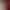 https://shared.akamai.steamstatic.com/store_item_assets/steam/apps/1754760/header.jpg?t=1748509875