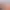 https://shared.akamai.steamstatic.com/store_item_assets/steam/apps/1770490/header.jpg?t=1727089674