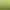 Hero King Quest: Peacemaker Prologue.