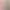 https://shared.akamai.steamstatic.com/store_item_assets/steam/apps/1804150/header.jpg?t=1727663188