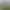 Trainz 2022 DLC - VR Healesville 1913-1920 TRS19.
