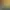 The Albino Hunter™ {Revamp}.