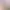 https://shared.akamai.steamstatic.com/store_item_assets/steam/apps/1833730/header.jpg?t=1685086407