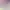 https://shared.akamai.steamstatic.com/store_item_assets/steam/apps/1849890/header.jpg?t=1744983636