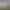 The Eternal Battlefields.