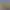 Mini Gardens - Logic Puzzle.
