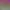 https://shared.akamai.steamstatic.com/store_item_assets/steam/apps/1916960/header.jpg?t=1651615103