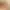 https://shared.akamai.steamstatic.com/store_item_assets/steam/apps/1934080/header.jpg?t=1736584582