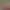 https://shared.akamai.steamstatic.com/store_item_assets/steam/apps/1967510/header.jpg?t=1748546806