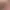 https://shared.akamai.steamstatic.com/store_item_assets/steam/apps/1972920/header.jpg?t=1664299646