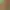 https://shared.akamai.steamstatic.com/store_item_assets/steam/apps/1984790/header.jpg?t=1728438632