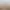 https://shared.akamai.steamstatic.com/store_item_assets/steam/apps/1989610/header.jpg?t=1730470099