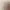 https://shared.akamai.steamstatic.com/store_item_assets/steam/apps/207490/header.jpg?t=1727212848
