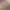 https://shared.akamai.steamstatic.com/store_item_assets/steam/apps/20828/header.jpg?t=1621807587