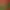 https://shared.akamai.steamstatic.com/store_item_assets/steam/apps/2098930/5b47128c6f539dd9e8d0c256d268539ccc5e5126/header.jpg?t=1752093663