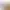 https://shared.akamai.steamstatic.com/store_item_assets/steam/apps/2107860/header.jpg?t=1750210491