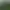 Zoo Simulator.