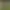 https://shared.akamai.steamstatic.com/store_item_assets/steam/apps/2159830/header.jpg?t=1726591608