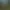 Mount & Blade.