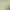 https://shared.akamai.steamstatic.com/store_item_assets/steam/apps/2317330/header.jpg?t=1750747909