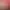 https://shared.akamai.steamstatic.com/store_item_assets/steam/apps/2327850/header.jpg?t=1730618912